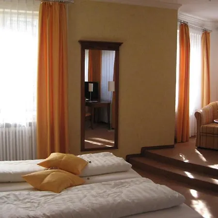 Altstadthotel Schex 3* التوتينغ