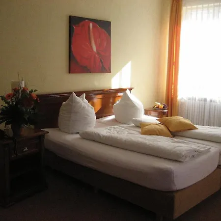 فندق Altstadthotel Schex التوتينغ