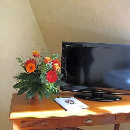 Altstadthotel Schex Hotel 3*